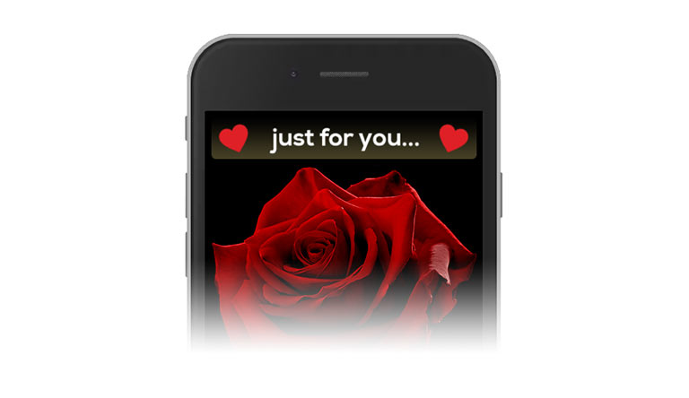 Send an E-Rose by email to Europe