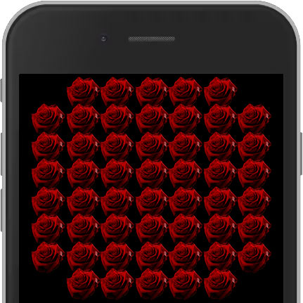 520 I Love You Red E-Rose