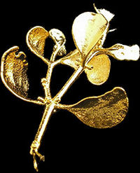 24Kt Gold Mistletoe from the 24Kt Gold Mistletoe Society!