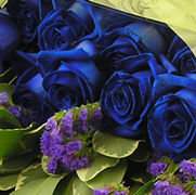 Close up of Blue Roses
