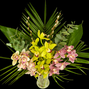 Example of a Extra Luxury Bouquet of Cymbidiam Orchids