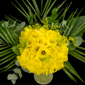 Bouquet of 40 Extra Luxury Daffodils