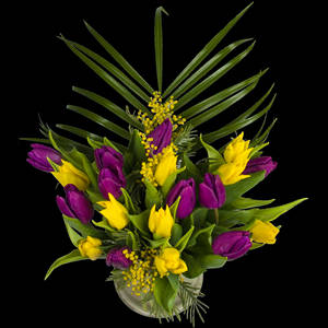 Example of a Luxury Bouquet of Tulips