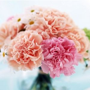 A  Carnation Bouquet