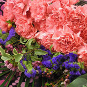Close up of a Classic Bouquet of Carnations!