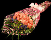 Classic Bouquet of Carnations