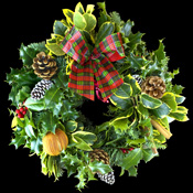 Decorated Christmas Door Holly Wreath