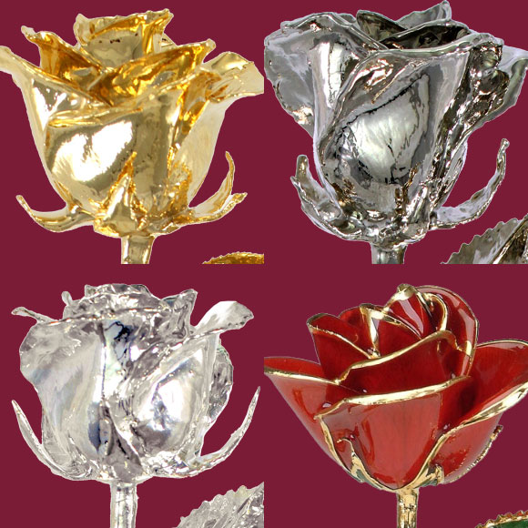 Buy Black Roses Online with Free Delivery from interROSE