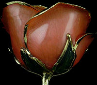 24Kt Gold Pink Rose Head