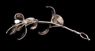 A Platinum Dipped Sprig Of Christmas Mistletoe Delivered Throughout The Uk