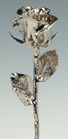 Platinum Dipped Rose