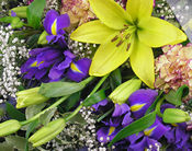 Close up of a Classic Lily Bouquet!