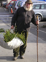 Ken carrying a bundle of Mistletoe