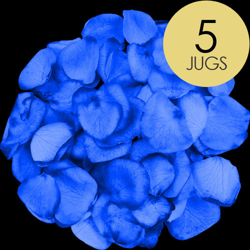 Buy Blue Roses Online with Free Delivery from interROSE