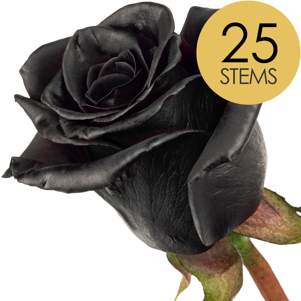 25 Black (Painted) Roses