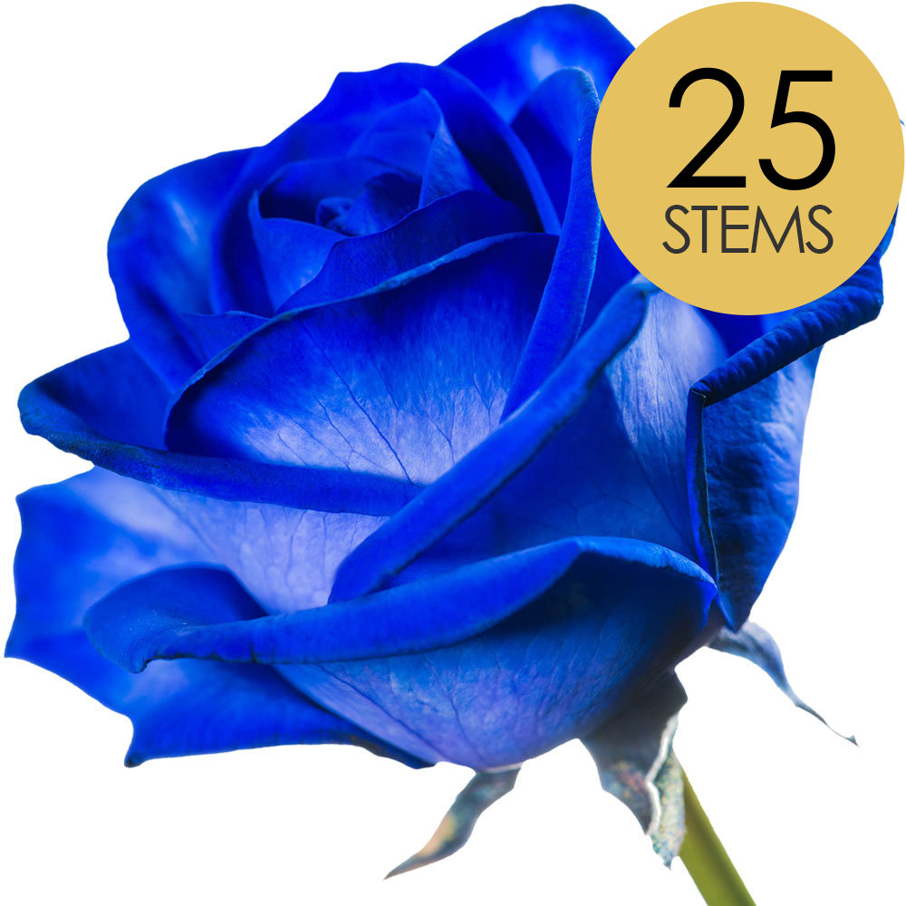 25 Blue (Dyed) Roses
