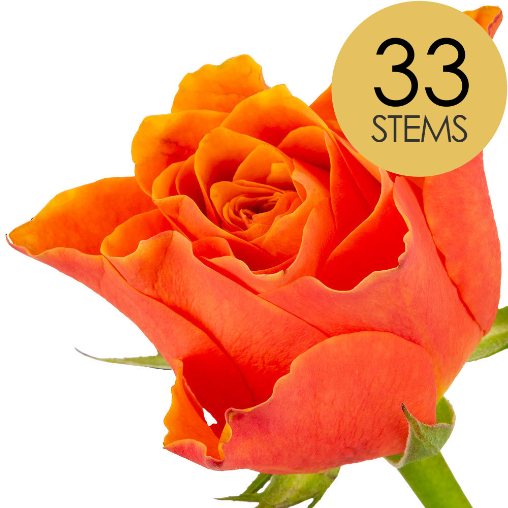 33 Orange Roses