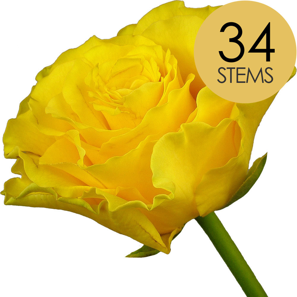 34 Yellow Roses