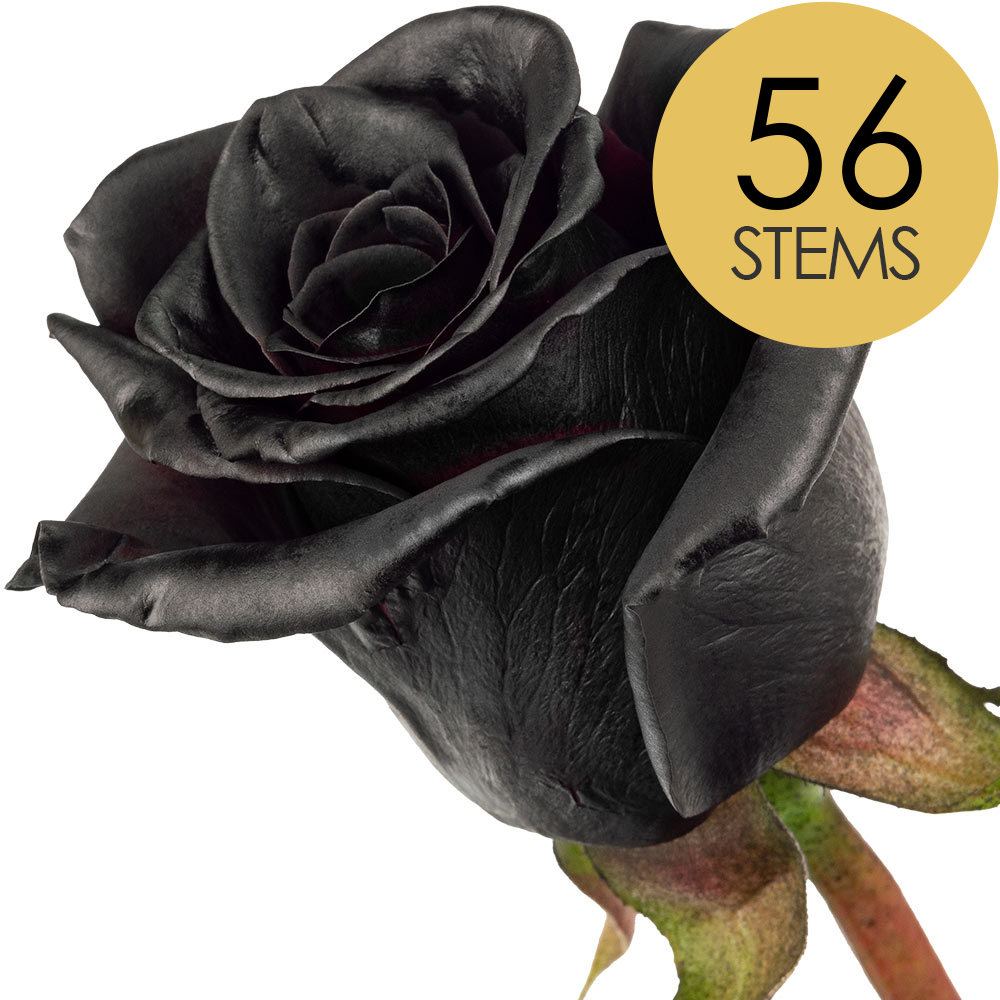 56 Black (Painted) Roses