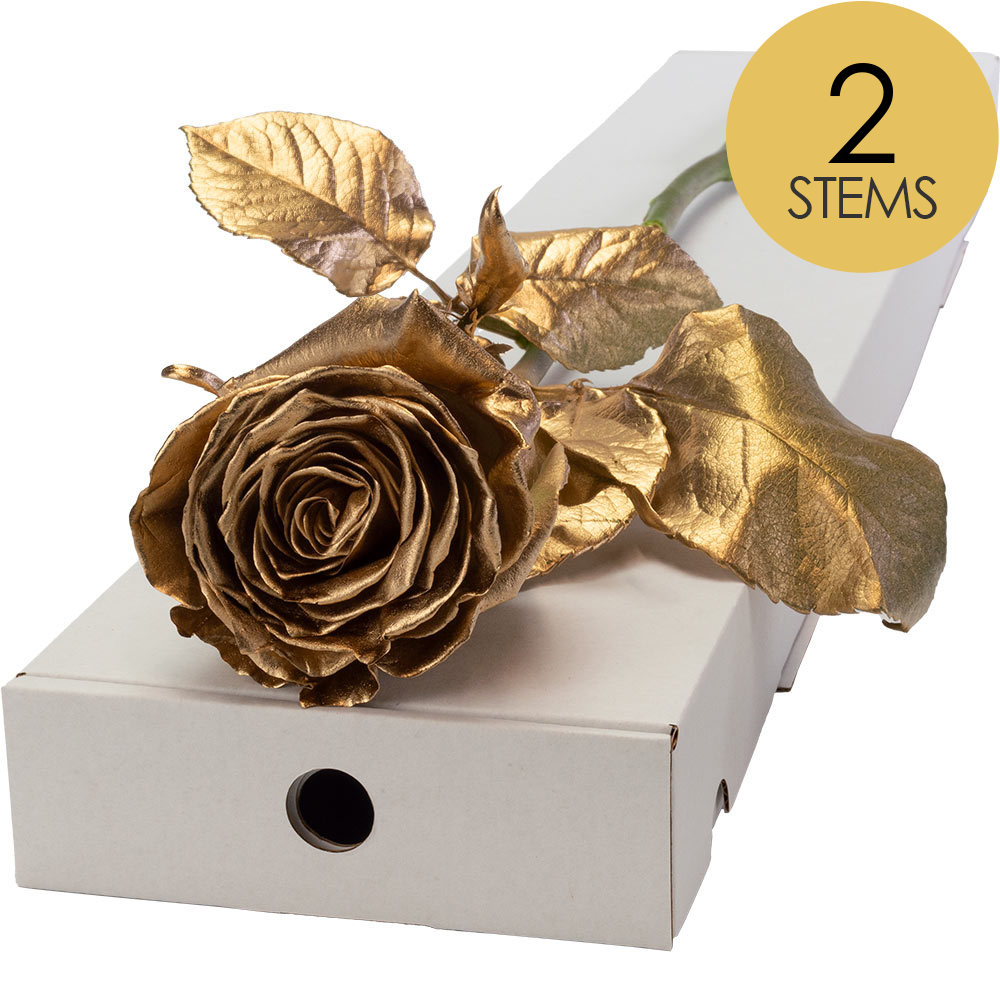 2 Letterbox Gold (Sprayed) Roses