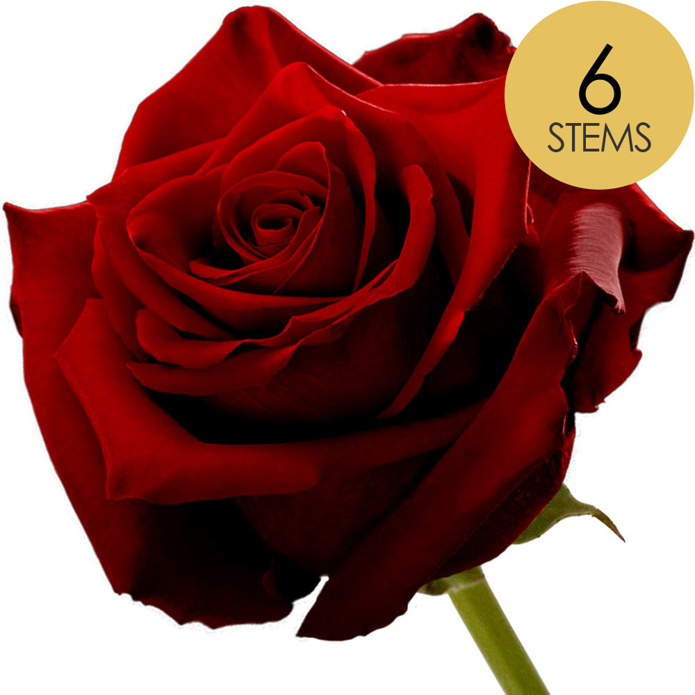 6 Red (Naomi) Roses