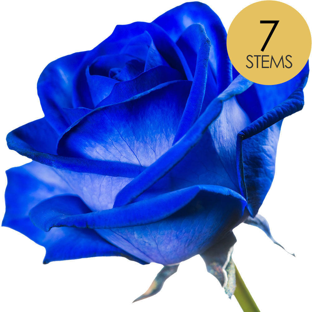 7 Blue (Dyed) Roses