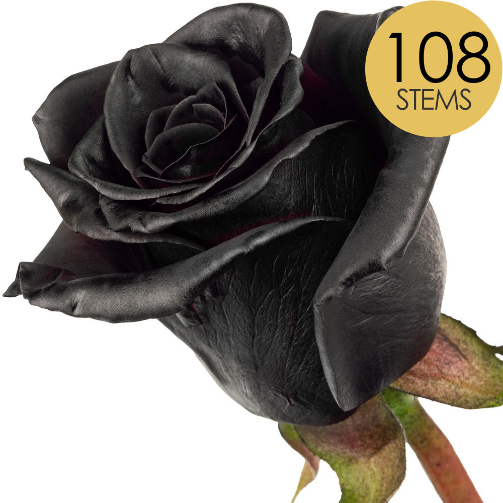 108 Black (Painted) Roses