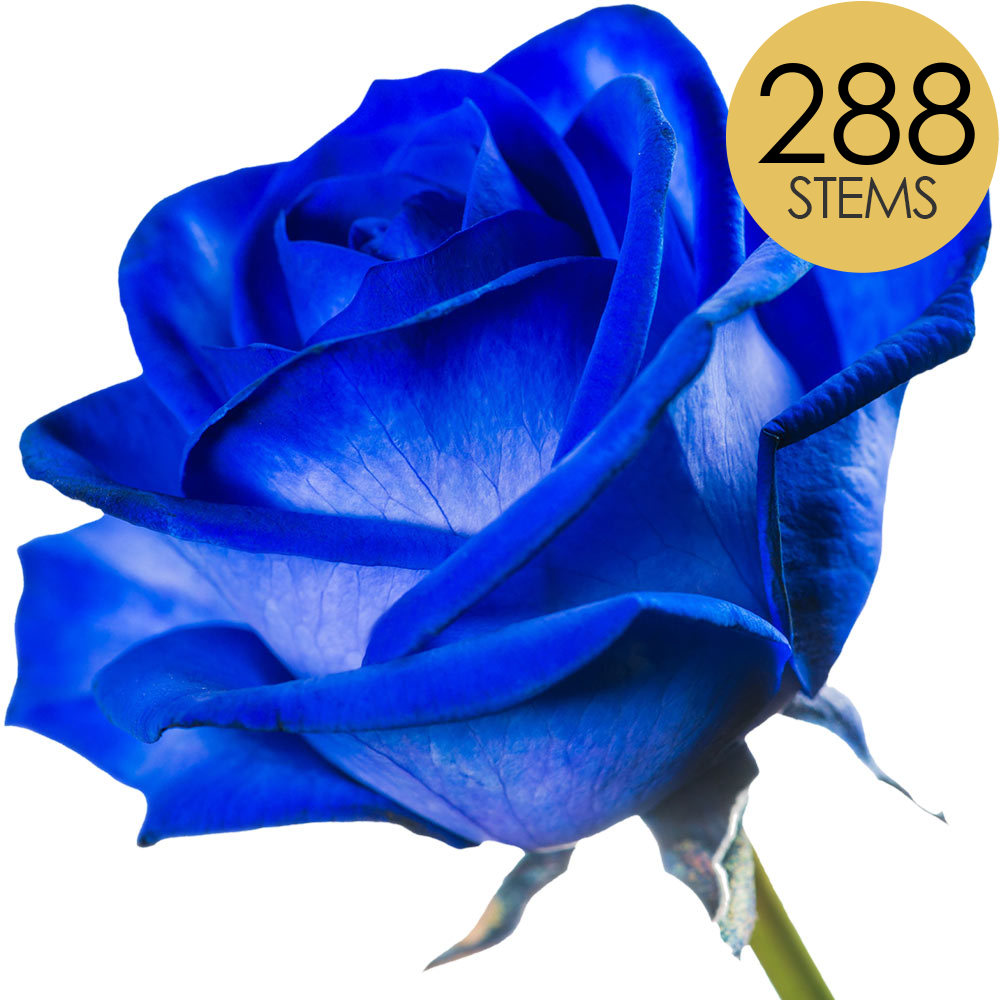 288 Bulk Blue (Dyed) Roses