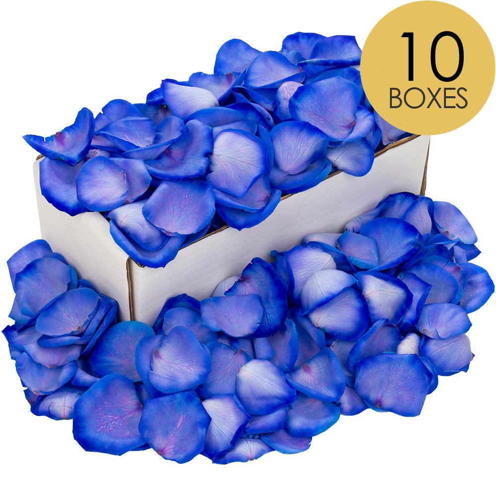10 Boxes of Blue Rose Petals