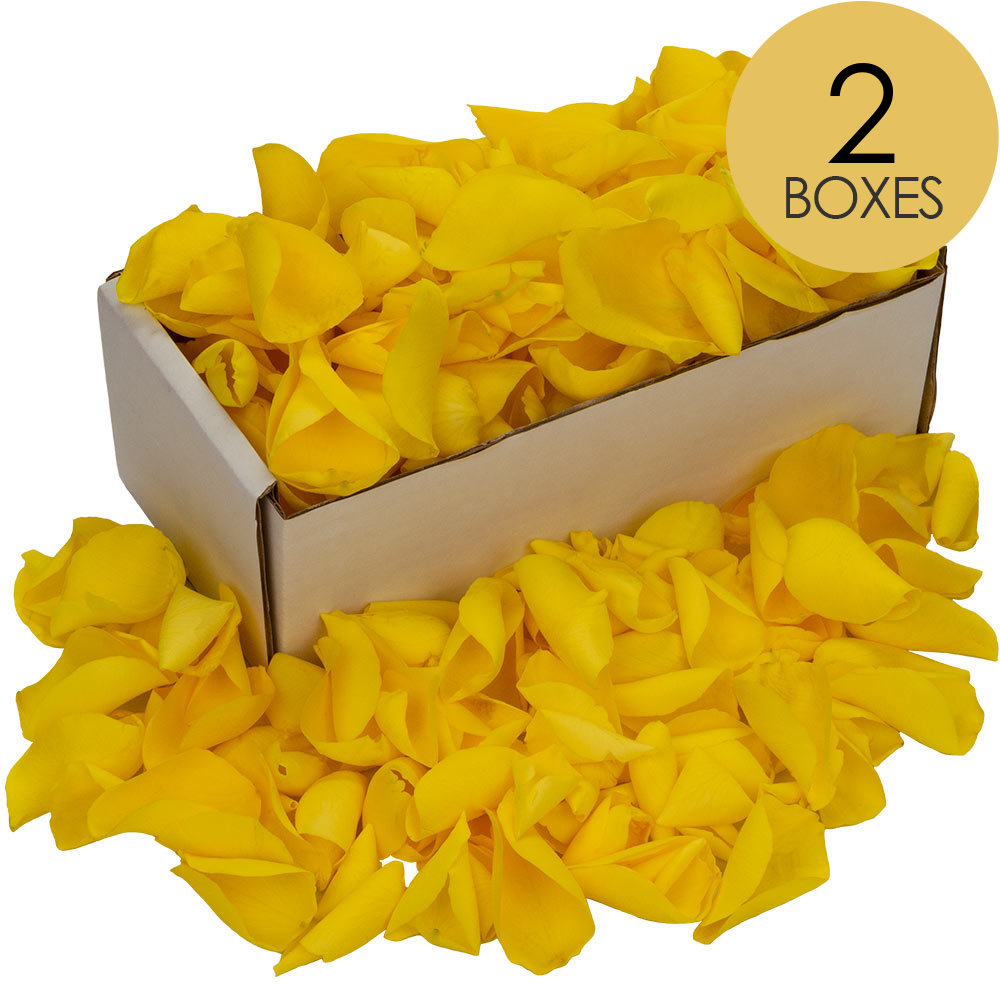 2 Boxes of Yellow Rose Petals