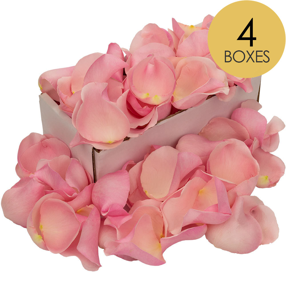 4 Boxes of Pink Rose Petals