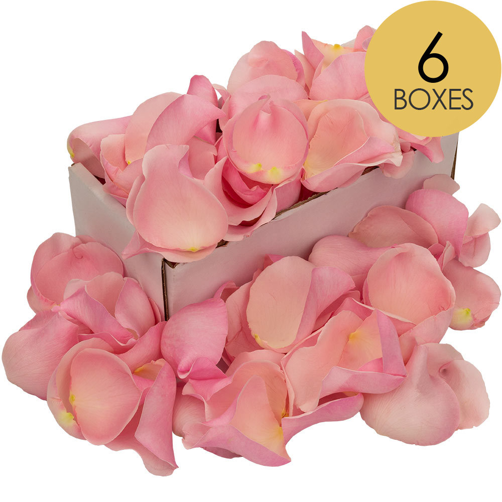 6 Boxes of Pink Rose Petals