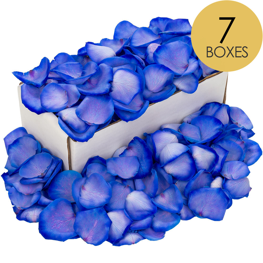 7 Boxes of Blue Rose Petals