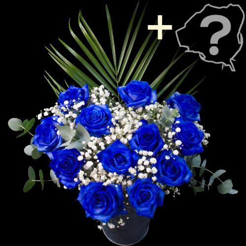 11 Blue Roses and a  Rose