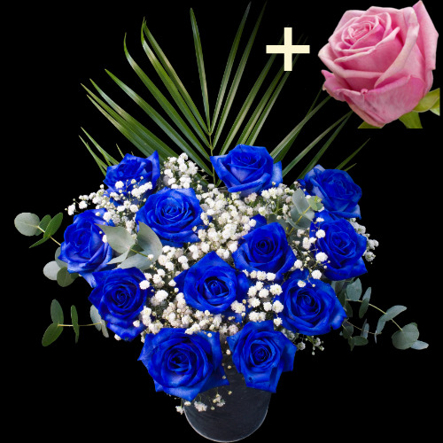 11 Blue Roses and a Pink Rose