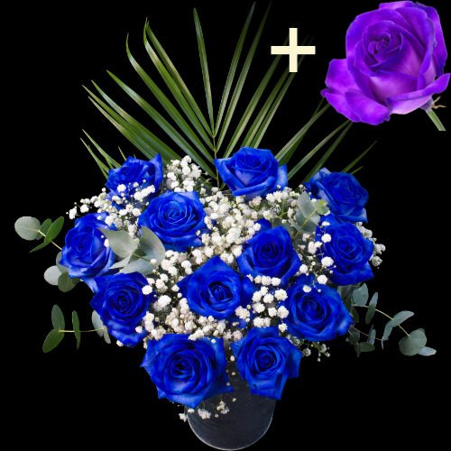 Buy Purple Roses Online with Free Delivery from interROSE