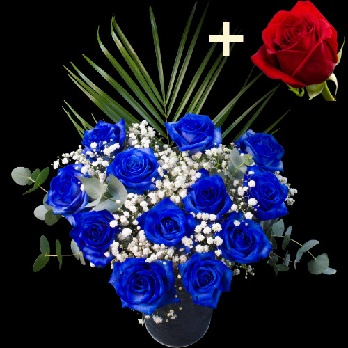 11 Blue Roses and a Red Rose