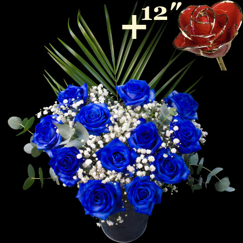 11 Blue Roses and a 12Inch Gold Trimmed Red Rose