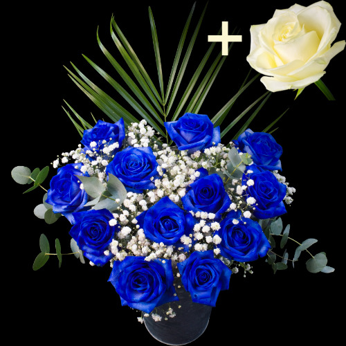 11 Blue Roses and a White Rose