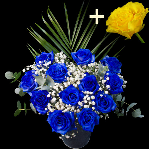 Buy Blue Roses Online with Free Delivery from interROSE