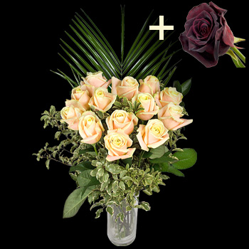 11 Peach Roses and a Black Baccara Rose