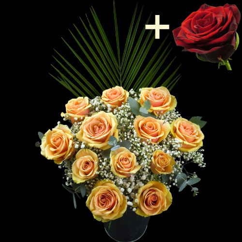 11 Peach Roses and a Grand Prix Rose