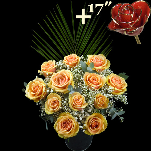 11 Peach Roses and a 17Inch Gold Trimmed Red Rose