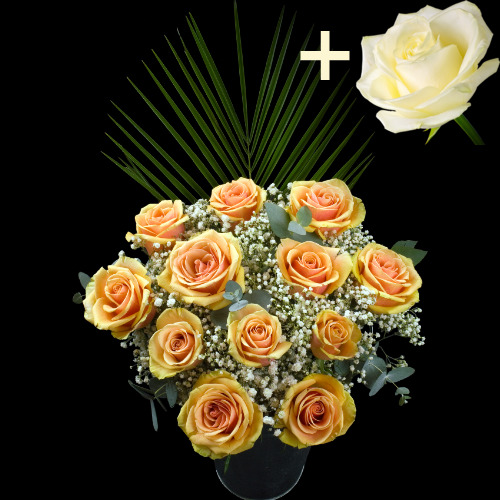 11 Peach Roses and a White Rose