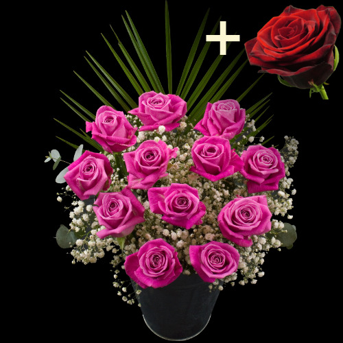 11 Pink Roses and a Grand Prix Rose