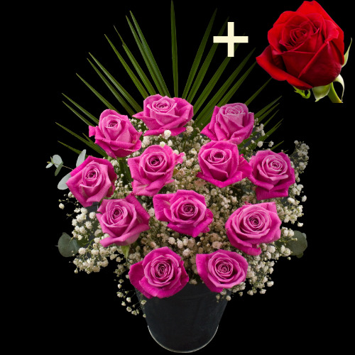 11 Pink Roses and a Red Rose
