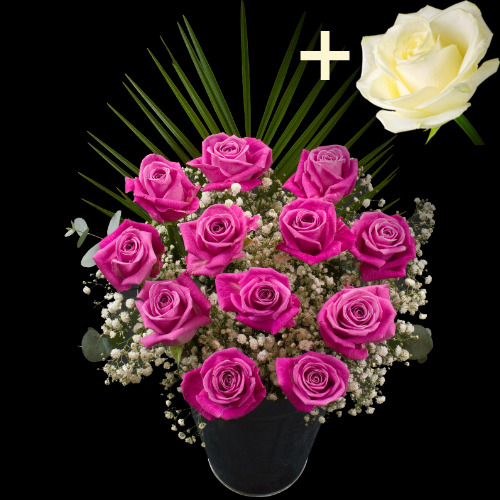 11 Pink Roses and a White Rose