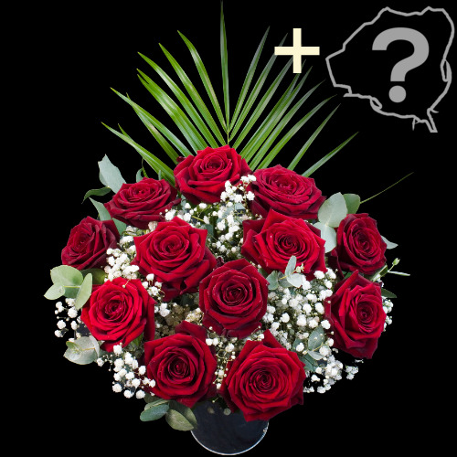 11 Grand Prix Roses and a  Rose