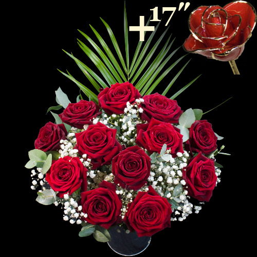 11 Grand Prix Roses and a 17Inch Gold Trimmed Red Rose