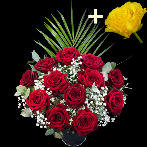 11 Grand Prix Roses and a Yellow Rose